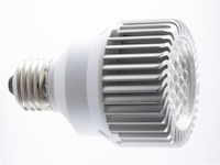 SPOT LIGHT